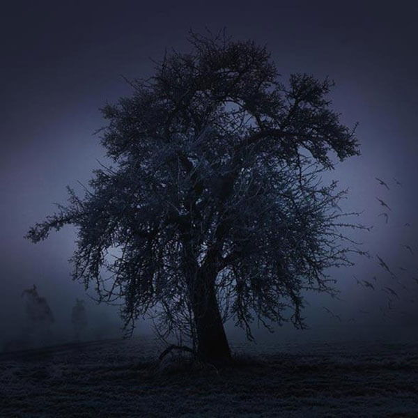 Baum im Mondlicht bei Nacht in einem Wintersturm in den Rauhnächten. Kalte, geisterhafte Atmosphäre.